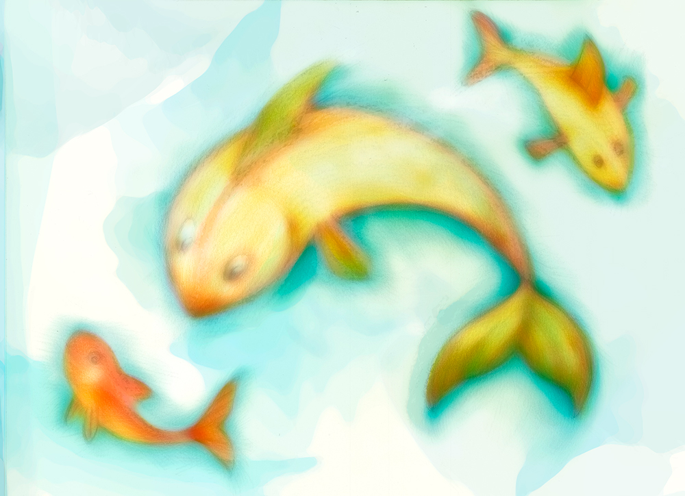 %luca.fruzza/visual.designerILLUSTRATIONS FISHES